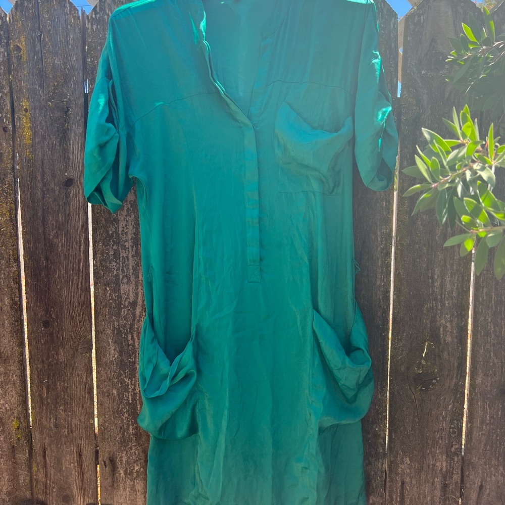 Gorgeous BCBG MaxAzria Dress